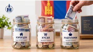 Гадаадаас санхүүгээ өөрөө удирдах